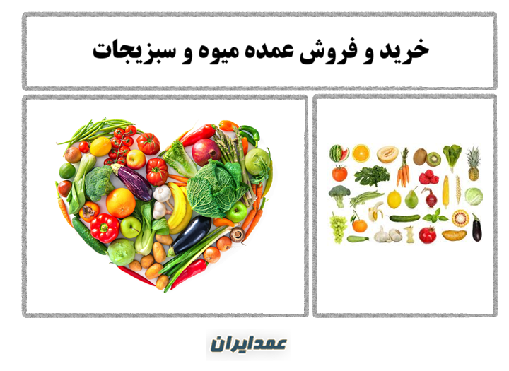 خرید و فروش عمده زیتون